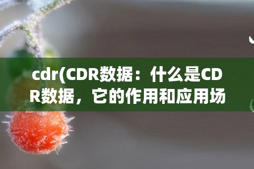 cdr(CDR数据：什么是CDR数据，它的作用和应用场景)