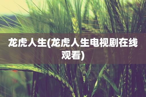 收官是什么意思(收官是什么意思？详解收官的含义和相关用法)