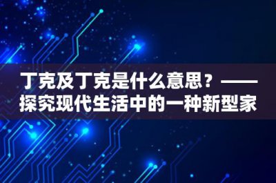 ​丁克及丁克是什么意思？——探究现代生活中的一种新型家庭形态