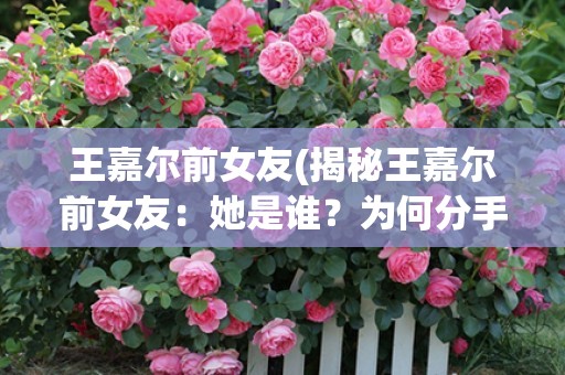 王嘉尔前女友(揭秘王嘉尔前女友：她是谁？为何分手？)