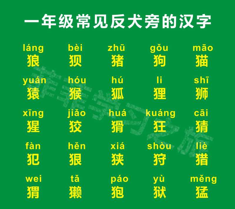 反犬旁的字跟什么有关(一年级反犬旁的汉字大全)