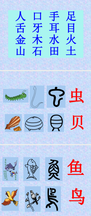 象形字(80个常见象形文字)