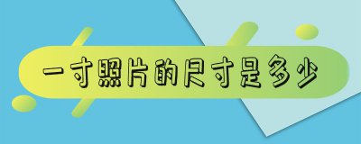 ​一寸照片的尺寸是多少_一寸照片的尺寸是多少厘米