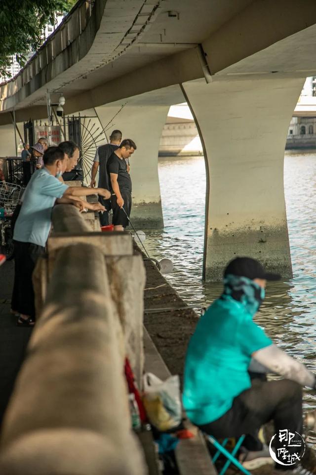 广州街头榕树多少年了（广州人第一个说不）(15)