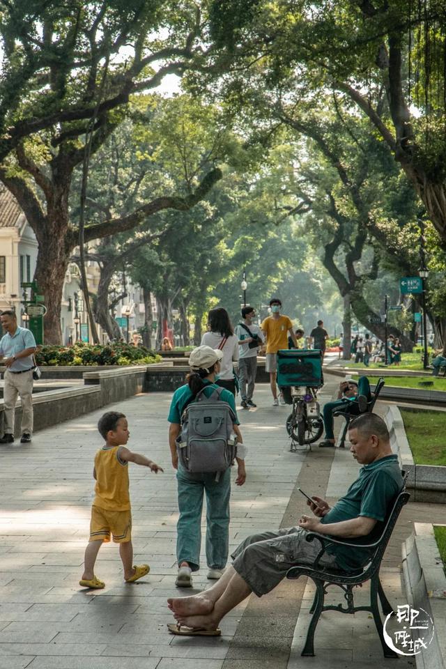 广州街头榕树多少年了（广州人第一个说不）(9)