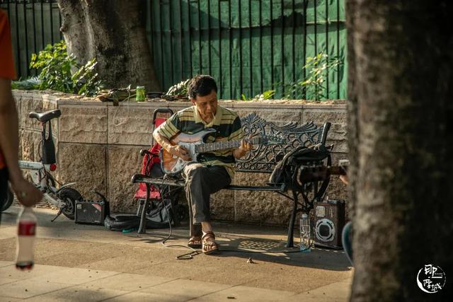 广州街头榕树多少年了（广州人第一个说不）(20)