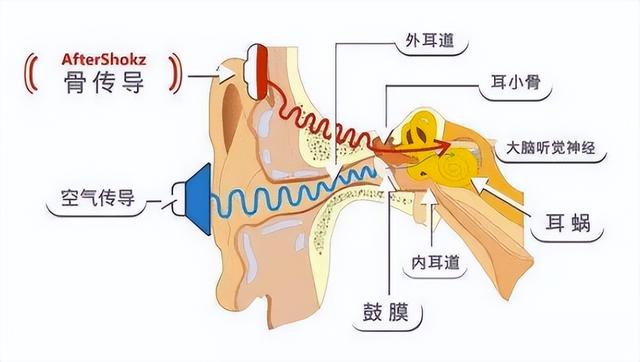 1千到2千元最值得入手的耳机（6月值得买的10款耳机）(16)