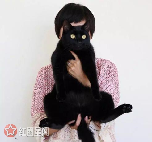 妖猫传中黑猫品种是孟买猫吗 妖猫传黑猫现以发福模样太逗