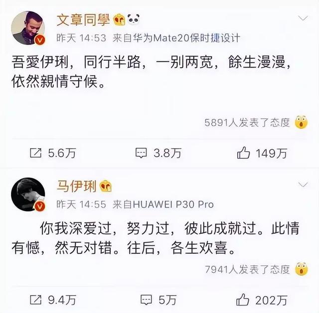 马伊琍文章为什么离婚原因曝光 有一种整容叫文章离婚(38)