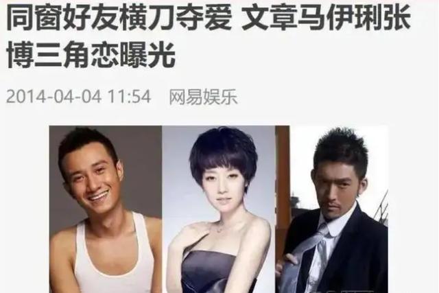 马伊琍文章为什么离婚原因曝光 有一种整容叫文章离婚(22)