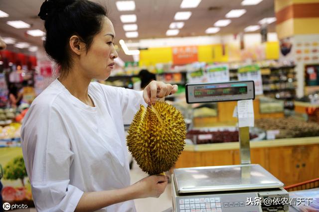 榴莲不是很好吃为什么这么贵（榴莲那么贵除客观因素外）(4)