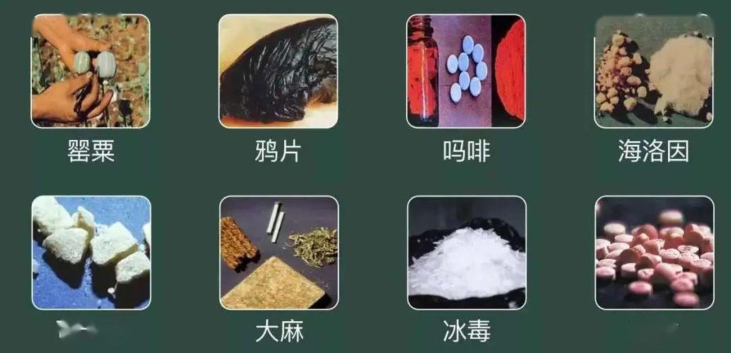 毒品有些什么种类（是哪种类型的毒品）