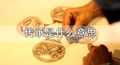 ​传承的意思解释是什么（如何理解传承）