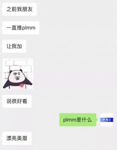 ​plmm是什么意思（plmm的意思）