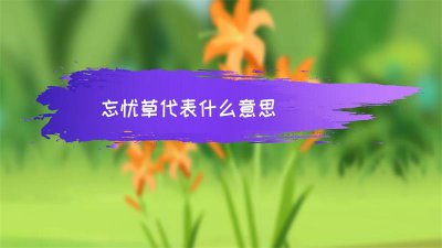 ​忘忧草代表什么意思（忘忧草象征意义）