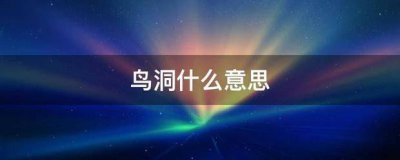 ​鸟洞是什么意思（什么是鸟洞）