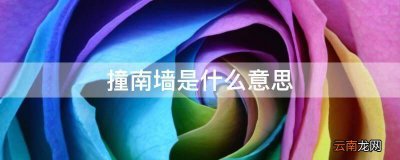 ​头撞南墙什么意思（撞南墙是用来比喻什么）