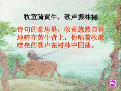 ​所见的意思是什么（词语所见什么意思）