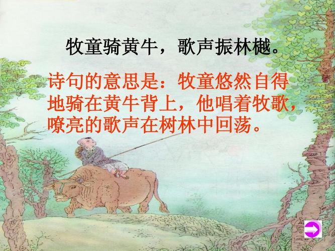 所见的意思是什么（词语所见什么意思）