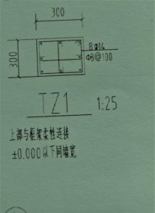 ​tz是什么意思（tz是啥意思）