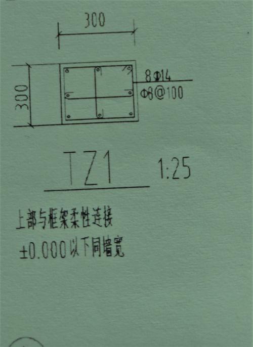 tz是什么意思（tz是啥意思）