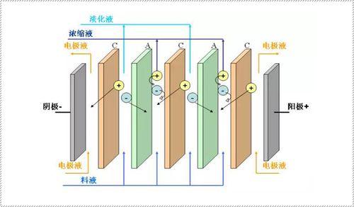 电渗析原理（什么是电渗析）