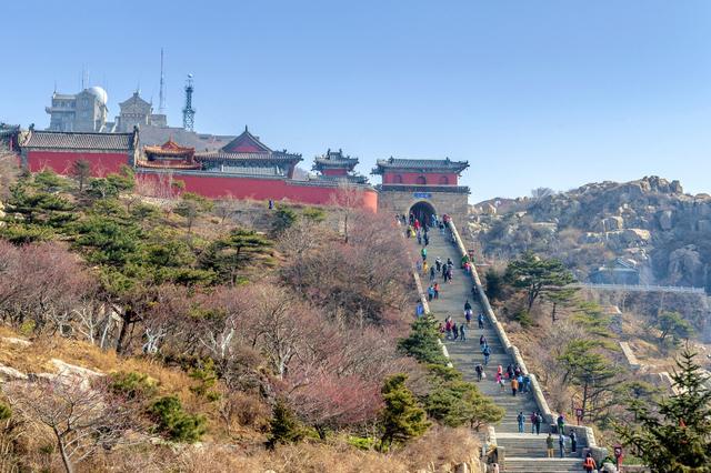 泰山老奶奶的真身是什么（有没有真人泰山奶奶）(4)