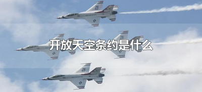 ​开放天空条约是什么（《天空开放条约》）