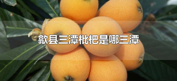 歙县三潭枇杷是哪三潭