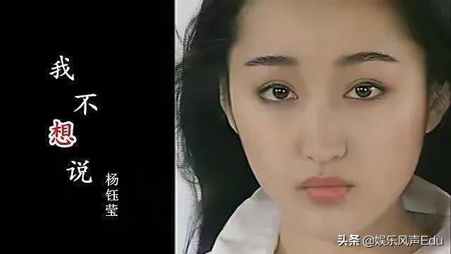 歌手杨钰莹婚姻现状（杨钰莹和赖文峰分手25年人生轨迹）(14)