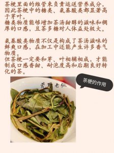 ​茶梗有什么功效与作用（茶梗有哪些功效与作用）