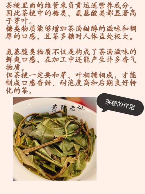 茶梗有什么功效与作用（茶梗有哪些功效与作用）