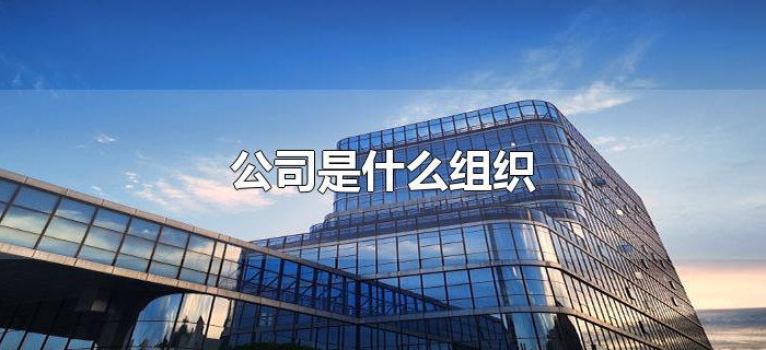 公司是什么组织