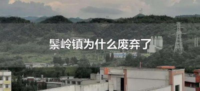 ​鬃岭镇为什么废弃了（贵州鬃岭镇为什么荒废）