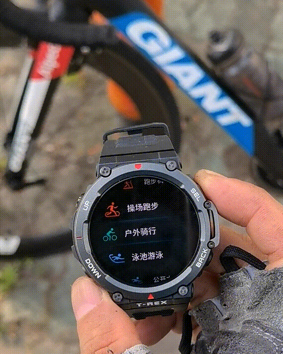 佳明运动手表哪款最值得买（再见佳明-入手AMAZFIT）(15)