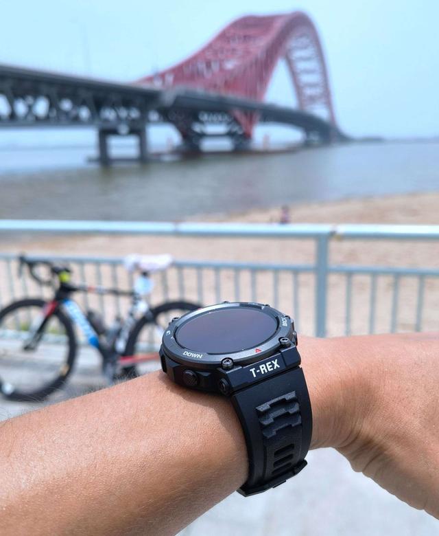 佳明运动手表哪款最值得买（再见佳明-入手AMAZFIT）(16)