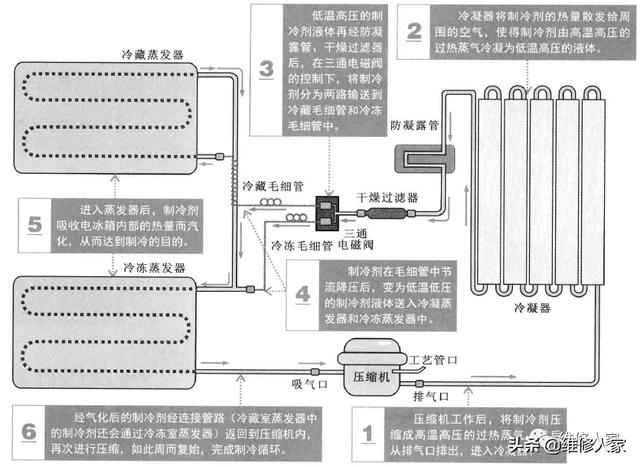 家用电冰箱制冷原理（图解电冰箱的制冷原理）(2)