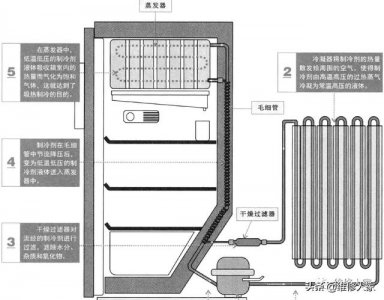 ​家用电冰箱制冷原理（图解电冰箱的制冷原理）