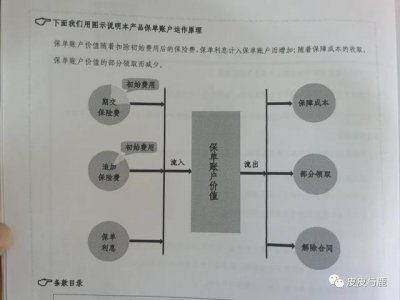 ​平安智盈人生万能险可以回本吗（智盈人生等万能险）