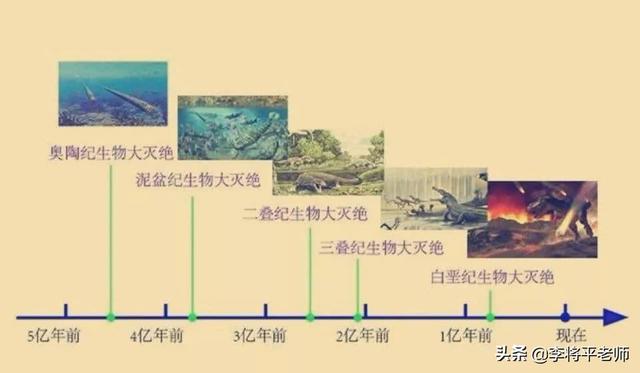 海底最大生物大章鱼（3颗心脏9个脑袋沦为美食的）(12)