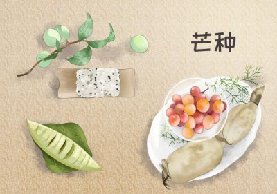 ​芒种吃什么传统食物（芒种节气民间传统美食盘点）