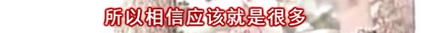 侯佩岑火了周侯恋更火一举一动（17年后回看周侯恋）(69)