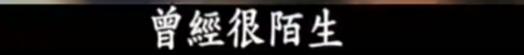 侯佩岑火了周侯恋更火一举一动（17年后回看周侯恋）(83)