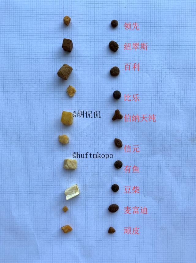 国产猫粮十大最佳品种（十款主流进口和国产冻干猫粮横评）(3)