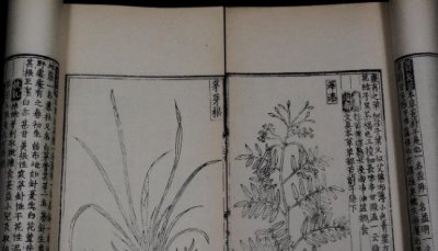 ​明朝李咏时期_作者实际上是朱元璋的儿子的《救荒本草》出自哪个朝代