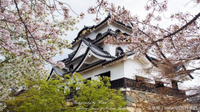 ​名古屋机场内部（连续四年排名全球最佳机场前十）