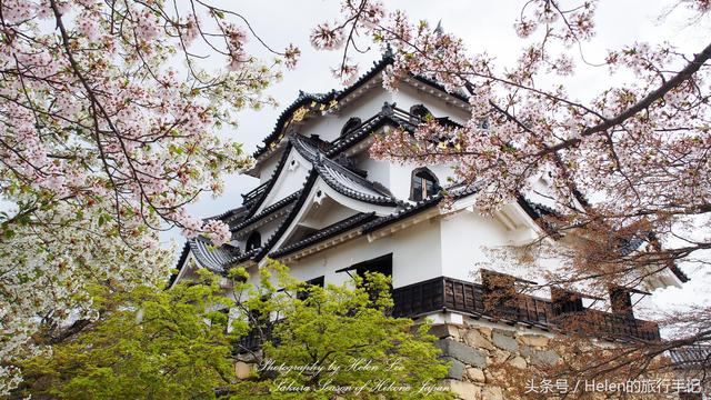 名古屋机场内部（连续四年排名全球最佳机场前十）(1)