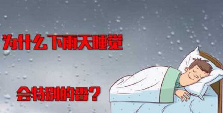 为什么人家下雨天犯困而我特别精神