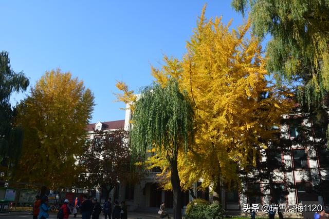 沈阳农业大学欢迎你（沈阳教育沈阳农业大学历史沿革）(18)