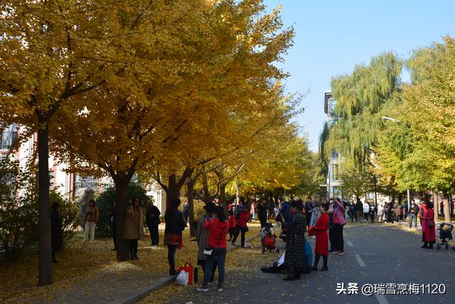 沈阳农业大学欢迎你（沈阳教育沈阳农业大学历史沿革）(13)